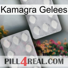 Kamagra Jellies 17
